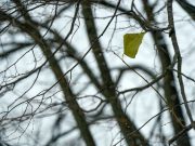 Сончево со наместа зголемена облачност во утринските часови