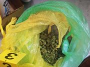 Ги фатиле „живи“ додека мереле дрога: Падна четиричлена дилерска група
