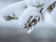 Најмногу снег и најстудено на Попова Шапка