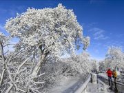 Суво и без врнежи до петок со ниски утрински температури