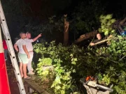 Силно невреме го погоди Стар Дојран, десетици дрвја на повеќе локации оштетија настрешници, возила, покрив и опрема на плажите