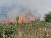 Пожар во прилепско Чаниште, зафатени стари напуштени куќи